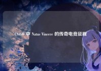 CS:GO 中 Natus Vincere 的传奇电竞征程