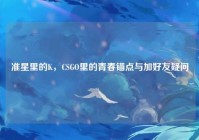 准星里的K，CSGO里的青春锚点与加好友疑问