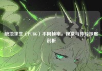 绝地求生（PUBG）不同帧率，视觉与体验深度剖析