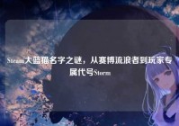 Steam大蓝猫名字之谜，从赛博流浪者到玩家专属代号Storm