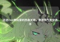 走进CSGO男玩家的热血天地，邂逅帅气职业选手
