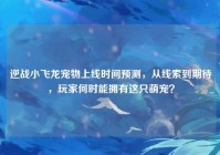 逆战小飞龙宠物上线时间预测，从线索到期待，玩家何时能拥有这只萌宠？