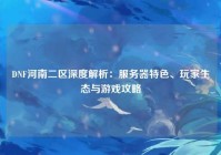 DNF河南二区深度解析：服务器特色、玩家生态与游戏攻略