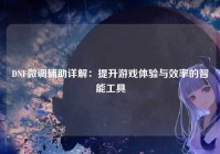 DNF微调辅助详解：提升游戏体验与效率的智能工具