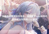 从库存灾难到井井有条，深度解析Steam标签功能的强大与妙用steam 标签