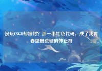 没玩CSGO却被封？那一串红色代码，成了我青春里最荒诞的休止符