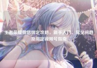 王者荣耀微信绑定攻略，新手入门、常见问题及绑定视频号指南