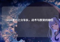 CSGO老六上分车队，战术与默契的融合