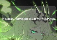PUBG帧率，从数值感知到竞技生存的核心密码