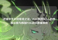 逆境中生长的电竞之花，PUBG韩国队Entu的热血征程与韩国PUBG战队数量探析