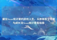 藏在Steam统计里的游戏人生，从数据看见热爱与成长及Steam统计查看指南