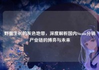 野蛮生长的灰色地带，深度解析国内Steam分销产业链的博弈与未来