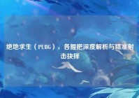 绝地求生（PUBG），各握把深度解析与精准射击抉择
