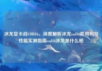 冰龙显卡战COD16，深度解析冰龙cod16能用吗及性能实测指南cod16冰龙是什么枪