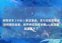 绝地求生（PUBG）听觉革命，全方位指南教你如何调高音质，听声辨位如虎添翼pubg超高音质设置不了