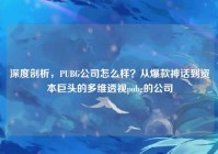 深度剖析，PUBG公司怎么样？从爆款神话到资本巨头的多维透视pubg的公司