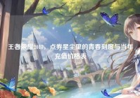 王者荣耀2017，点券星尘里的青春刻度与当年充值价格表