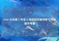 CSGO 从完美 C 升至 B 段位的价格剖析与竞技提升考量