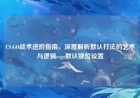 CS:GO战术进阶指南，深度解析默认打法的艺术与逻辑csgo默认键位设置