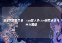 纳尔瓦青春风暴，NAVI新人的CSGO破茧成蝶与未来展望