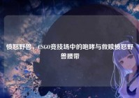 愤怒野兽，CSGO竞技场中的咆哮与救赎愤怒野兽腰带