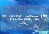 电脑PUBG什么版本？从Steam到WeGame，全面解析绝地求生PC端的现状与演变
