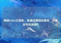 揭秘COD16云挂机，是通往满级的捷径，还是封号的深渊？
