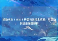 绝地求生（PUBG）开启与关闭全攻略，从启动到退出深度解析