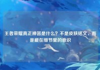 王者荣耀真正神器是什么？不是皮肤铭文，而是藏在细节里的意识