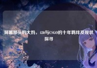 屏幕那头的大妈，430与CSGO的十年羁绊及现状探寻