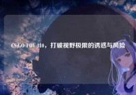 CS:GO FOV 110，打破视野极限的诱惑与风险