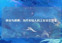 峡谷与微博，当代年轻人的上车社交图鉴