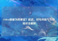COD16俄服为何便宜？延迟、封号风险与生存现状全解析