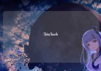 !bin/bash