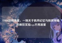CSGO没用准星，一场关于肌肉记忆与极致预瞄的疯狂实验csgo不用准星