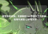 重塑你的战场，全面解析CSGO界面补丁的奥秘、应用与演变csgo修复文件