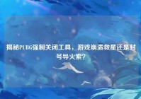 揭秘PUBG强制关闭工具，游戏崩溃救星还是封号导火索？