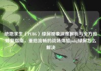 绝地求生（PUBG）绿屏现象深度解析与全方位修复指南，重拾流畅的战场体验pubg绿屏怎么解决