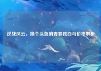 逆战风云，换个头盔的青春独白与价格解析