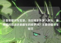 王者荣耀开车实录，当五排车队驶入峡谷，是荣耀的征途还是翻车的修罗场？王者荣耀开车短文
