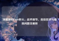 深度解构CSGO野火，战术细节、竞技哲学与磨损问题全解析