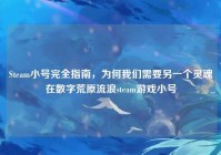 Steam小号完全指南，为何我们需要另一个灵魂在数字荒原流浪steam游戏小号