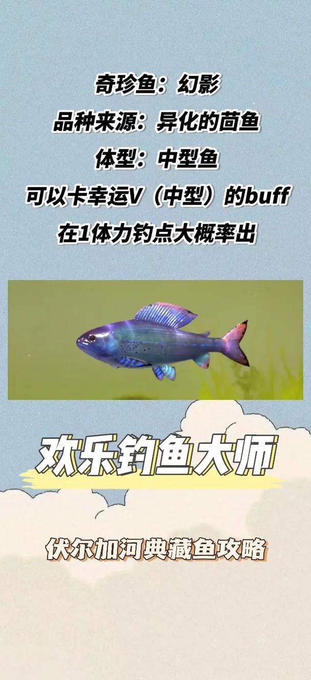 御龙天下钓鱼全攻略:从新手到大师的进阶技巧