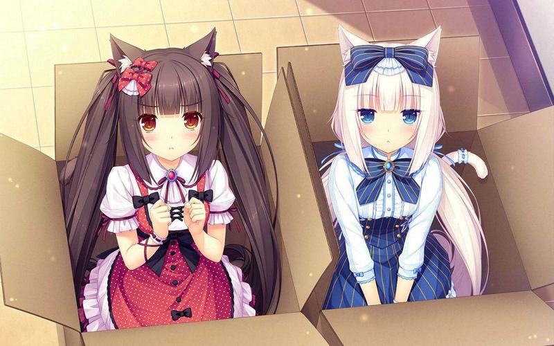 巧克力与香子兰3正式发布，感受猫娘温馨治愈！
