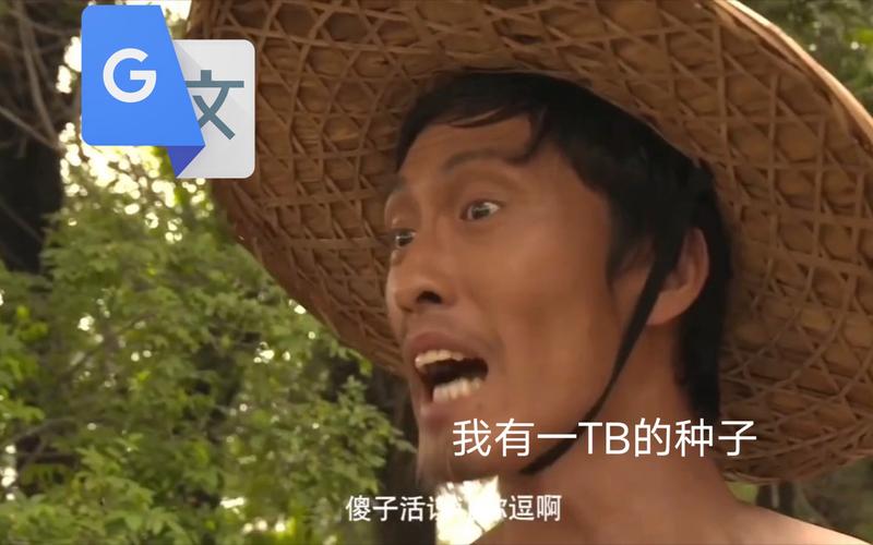 苏州瓜子哥到底干了啥?一篇文章给你讲清楚!