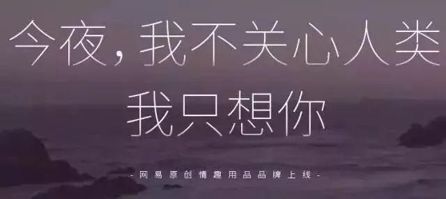网易被攻击怎么办?官方回应和解决办法来了!