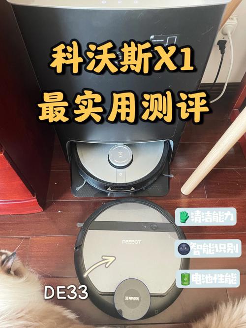 硕思闪客精灵绿色版好用吗?老用户分享真实体验!