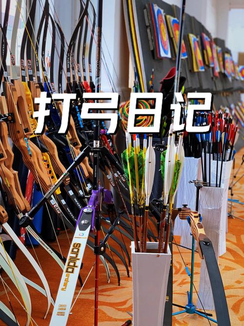 神点复合弓怎么调试才准?新手快速上手调整技巧!