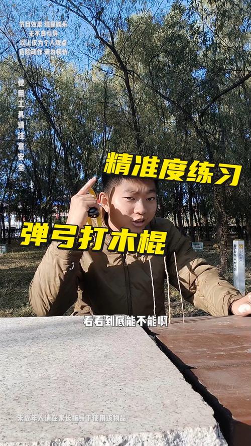 神点复合弓怎么调试才准?新手快速上手调整技巧!