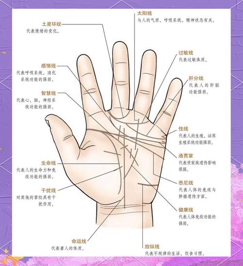 生命线攻略难点在哪?高玩教你轻松过关!